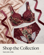 Load image into Gallery viewer, Fashion Bra 656-825 Bordeaux Color